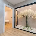 Loft *